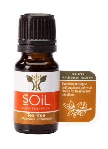 sku280-soil-tea-tree-essential-oil-large1-218x300