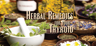 Herbal Remedies Thyroid Nation